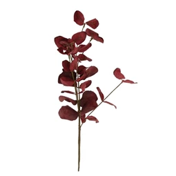 Ág leveles 60 cm