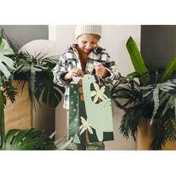 Ajándéktasak dinoszaurusz, 10x24x37 cm, vegyes