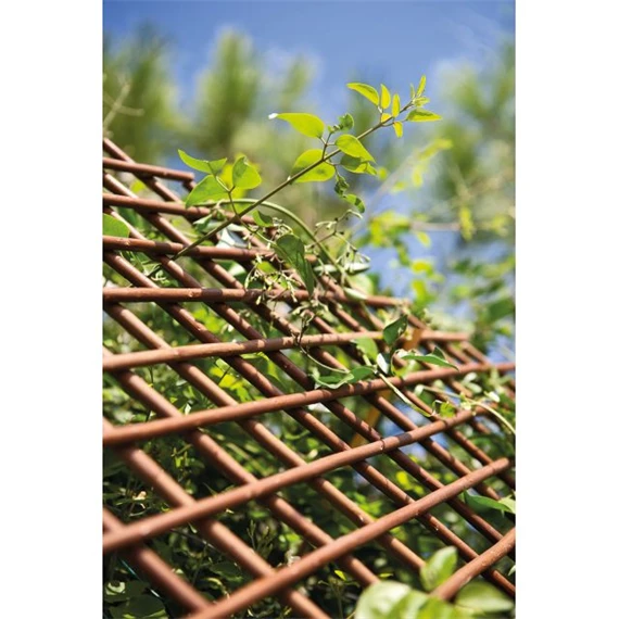 Apácarács kihúzható 50 cm x 1,5 m