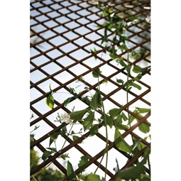 Apácarács kihúzható 50 cm x 1,5 m