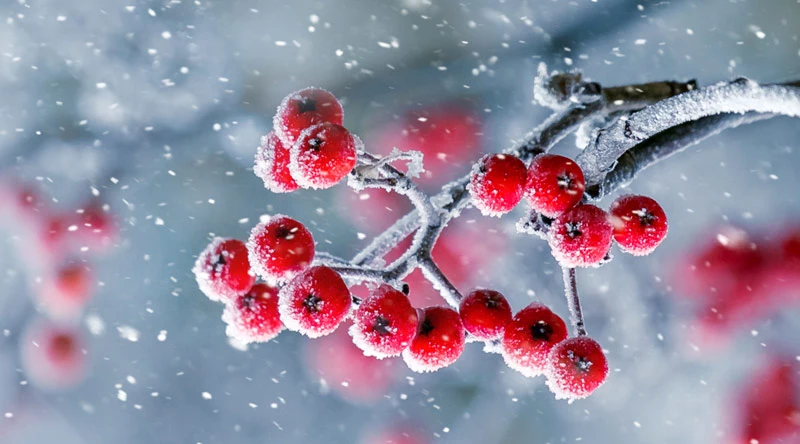 Áruházunk nyitvatartása