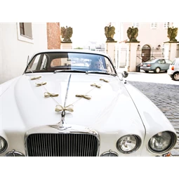 Autó dekorációs készlet - masnik