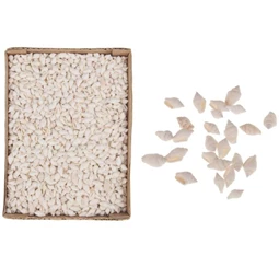 Csiga dobozban 15x20x6 cm