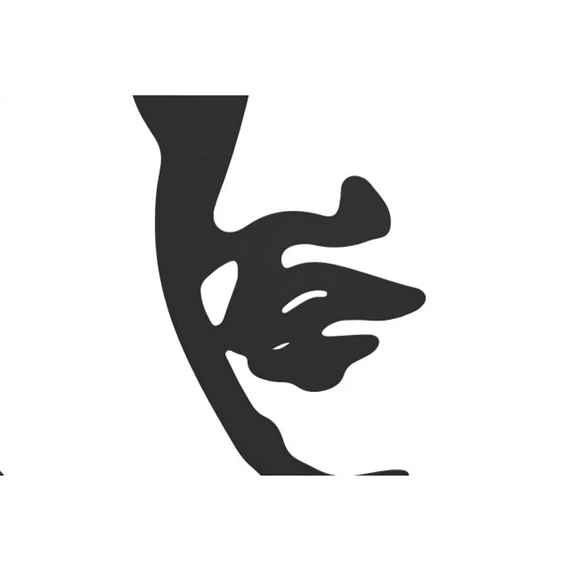 Dekoráció falra, Buddha 100x1x100 cm 2 féle