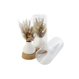 Dekoráció szárazvirág 8,5x8,5x20 cm 2 féle