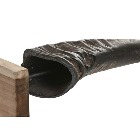 Dekoráció szett szarvak 20x11x65 cm S/3