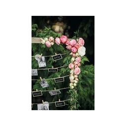 Fa csipeszek természetes fa 3,5 cm S/10