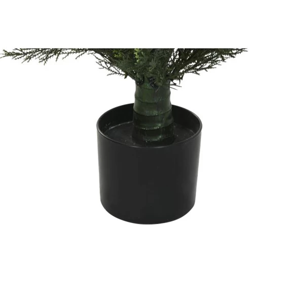 Fenyő cserépben 60x60x120 cm