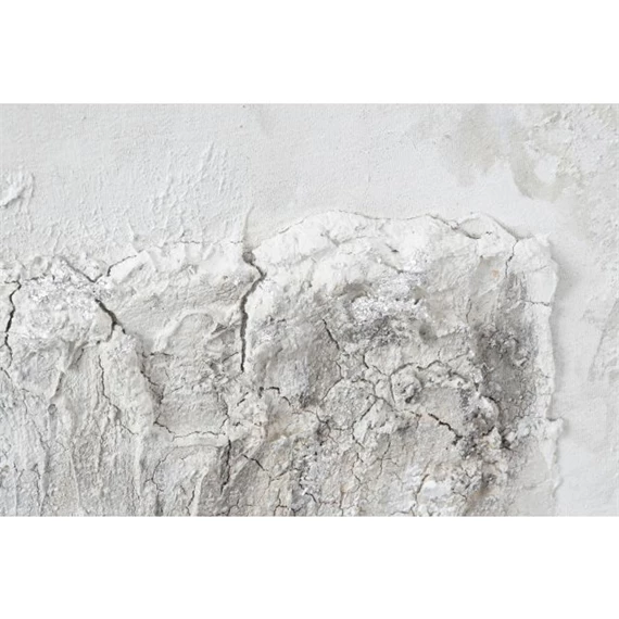 Kép fák 100x3,8x100 cm 2 féle