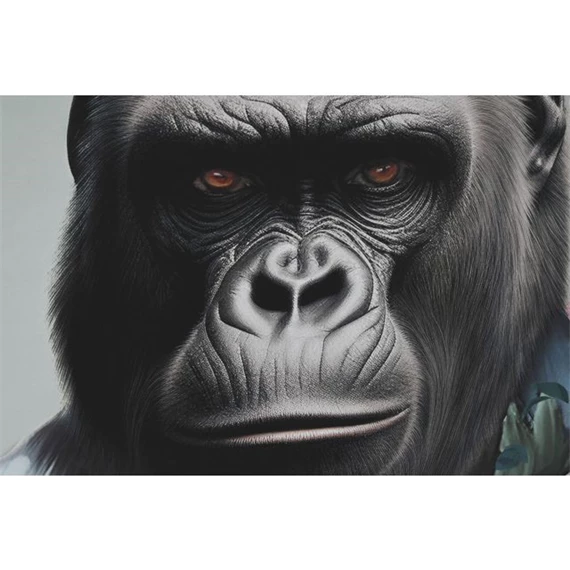 Kép gorillás, keretes 82x3,5x122 cm 2 féle