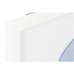 Kép hal 50x2,5x40 cm 6 féle