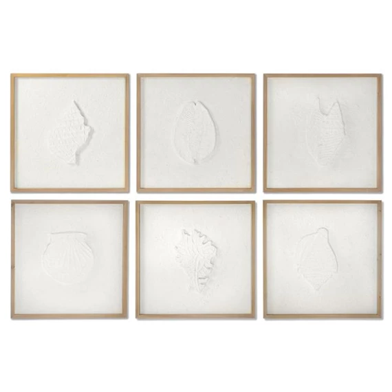 Kép kagyló 50x2x50 cm 6 féle
