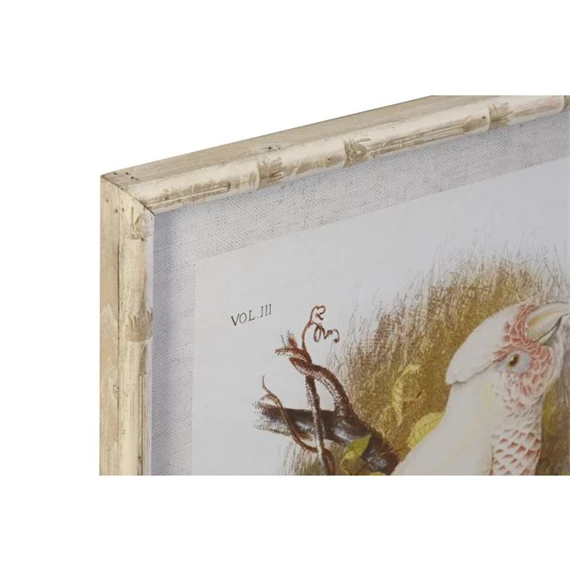 Kép kakadu 50x2,8x65 cm 4 féle