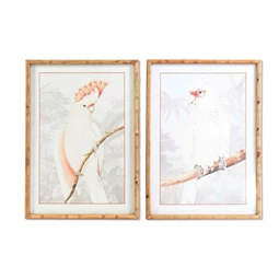 Kép kakadu 50x3x70 cm 2 féle