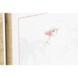 Kép kakadu 50x3x70 cm 2 féle