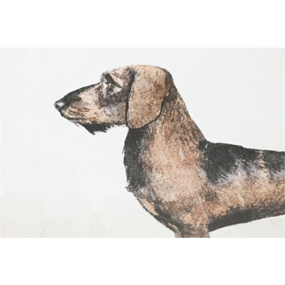 Kép keretes, kutya 60x2,5x45 cm 4 féle