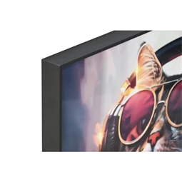 Kép keretes, macska 50x3,5x50 cm 2 féle