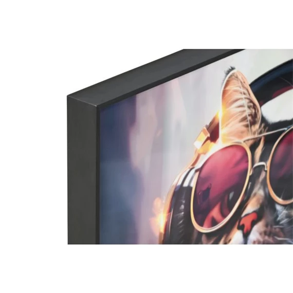 Kép keretes, macska 50x3,5x50 cm 2 féle