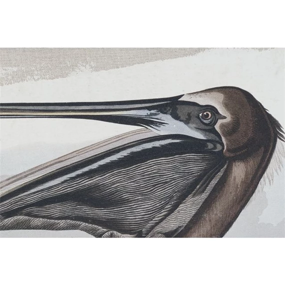 Kép madár 90x2x68 cm 2 féle