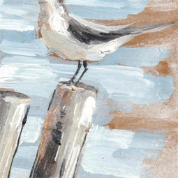 Kép madarak 45x2,7x45 cm 2 féle