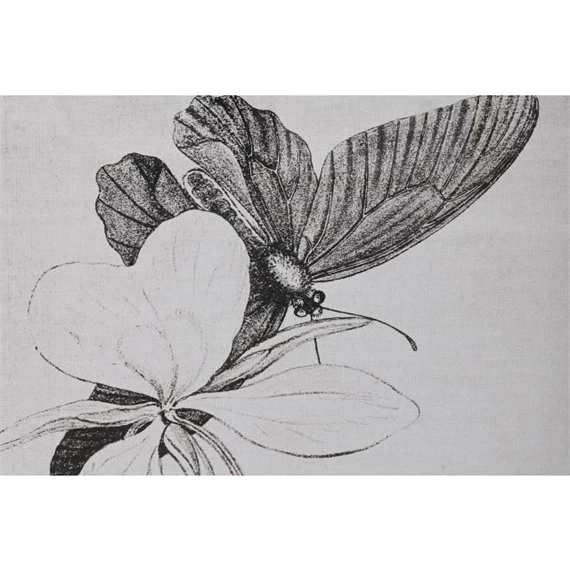 Kép pillangók 40x2,8x60 cm 4 féle