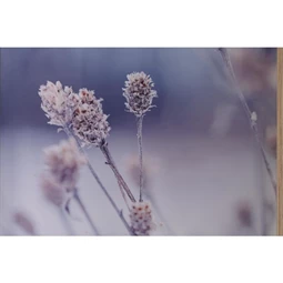 Kép szett keretes 40x2x60 cm S/6