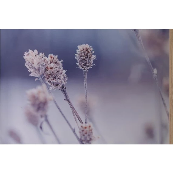 Kép szett keretes 40x2x60 cm S/6