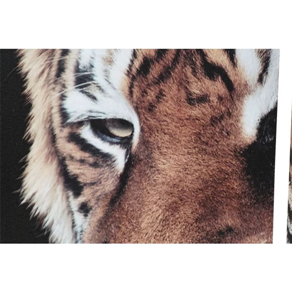 Kép szett vadon 150x2x80 cm 2 féle S/5