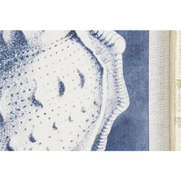 Kép tengeri kagyló 50x2,8x65 cm 4 féle