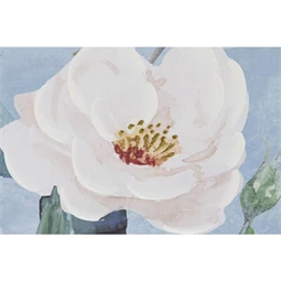 Kép vázák 60x3,5x80 cm 2 féle