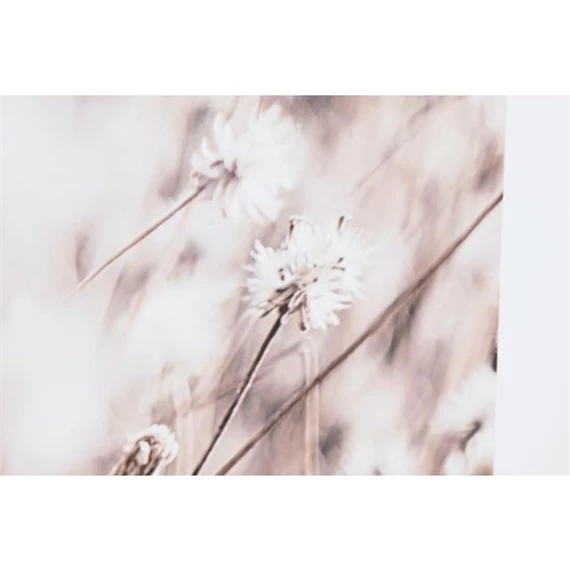 Kép virágok, keretes 75x4x100 cm 2 féle