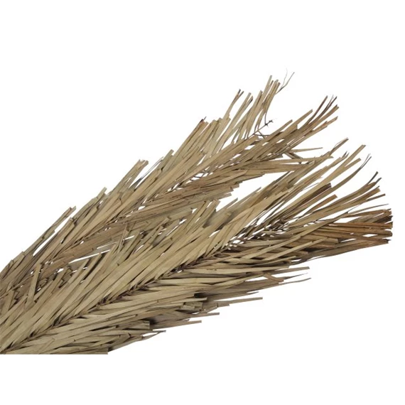 Khajur levél 118 cm S/6