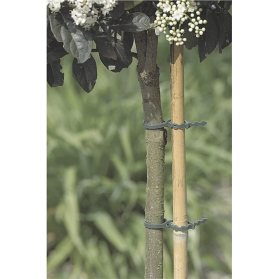 Kötöző fákhoz és cserjékhez 17 cm S/40