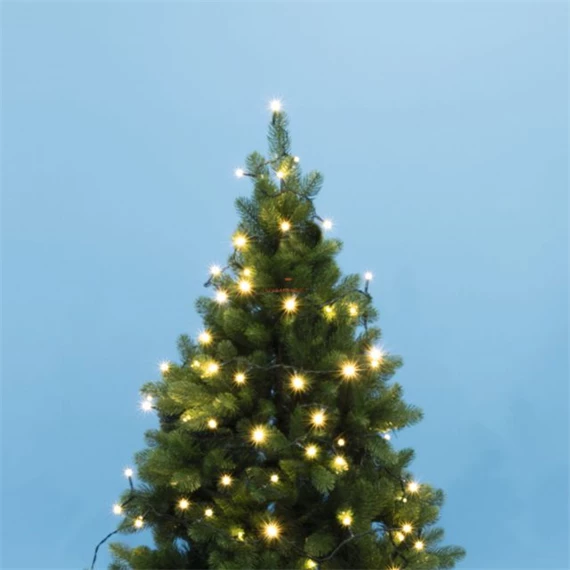 LED-es beltéri fényfüzér, 50 LED, 4 m