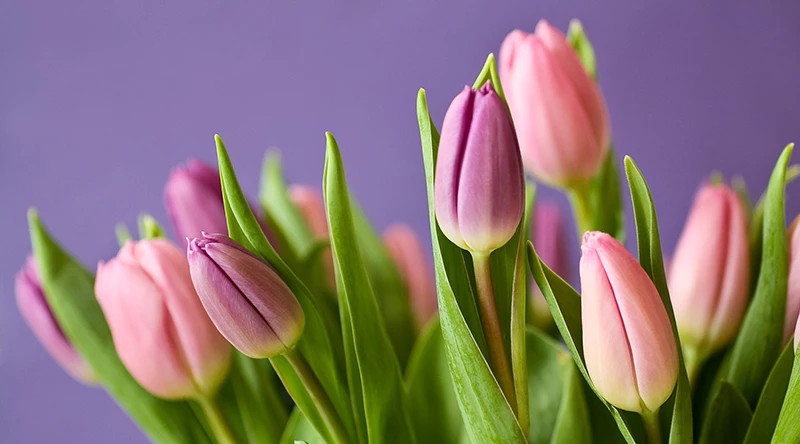 Nagykereskedésünk nyitvatartása