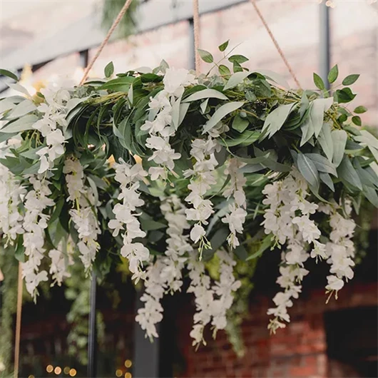 Növény dekoráció