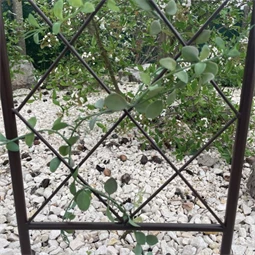 Növényfuttató félköríves 30 cm x 1,2 m