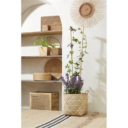 Növényfuttató létra 30 cm x 1,2 m