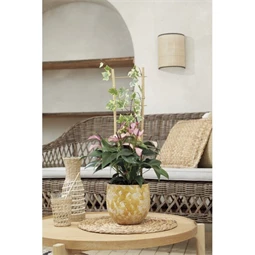 Növényfuttató létra 60x20 cm