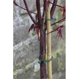 Növénykapocs 16x25 mm x 2 cm S/40