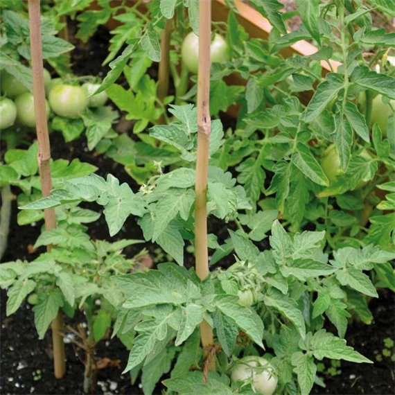 Növénytámasz 8 mm x 90 cm S/4