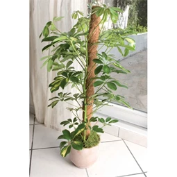 Növénytámasz 4,5x100 cm