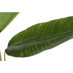 Selyemvirág Banánfa 90x90x190 cm