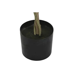 Selyemvirág cserepes 50x50x160 cm