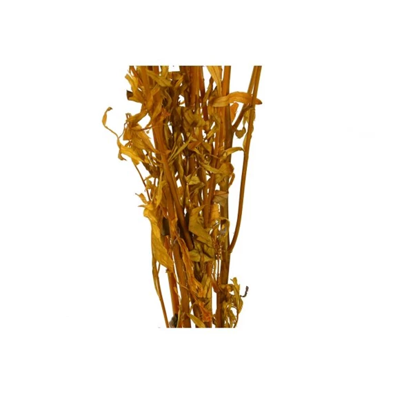 Selyemvirág csokor szárazvirág 20x10x60 cm 2 féle