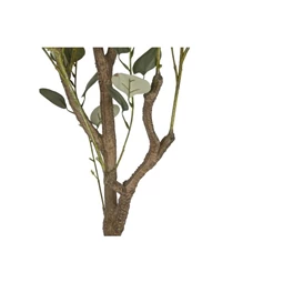 Selyemvirág eukaliptusz 80x80x180 cm