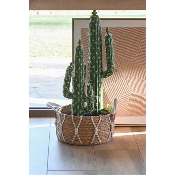 Selyemvirág kaktusz cserepes 18x12,5x54 cm