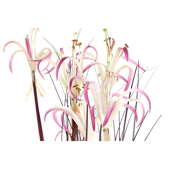 Selyemvirág Liliom 45x45x140 cm 2 féle