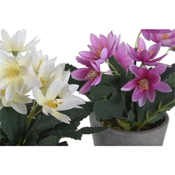 Selyemvirág Lótusz 8x8x18 cm 2 féle