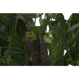 Selyemvirág mangó cserepes 80x80x150 cm